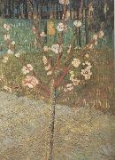 Vincent Van Gogh Almond Tree in Blossom (nn04) oil on canvas